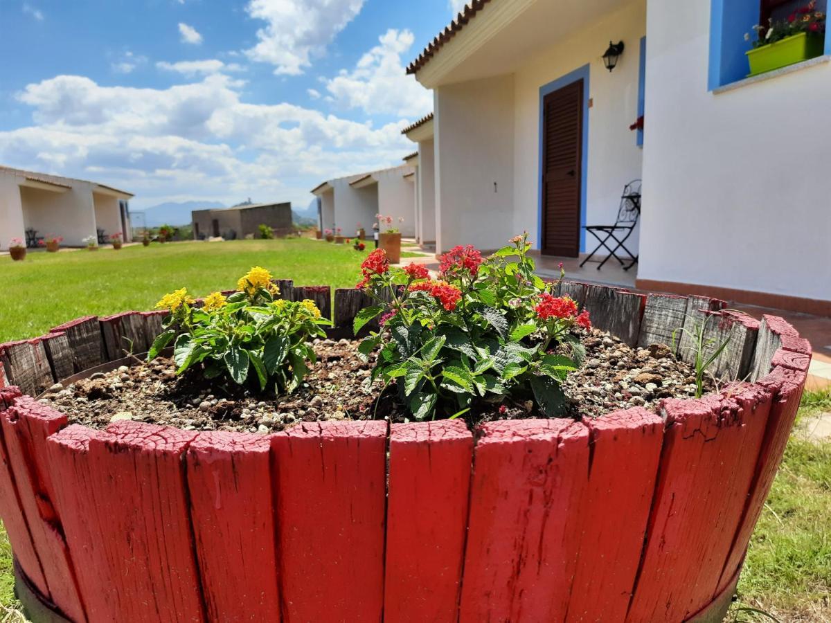 Agriturismo Orvile 포사타 외부 사진