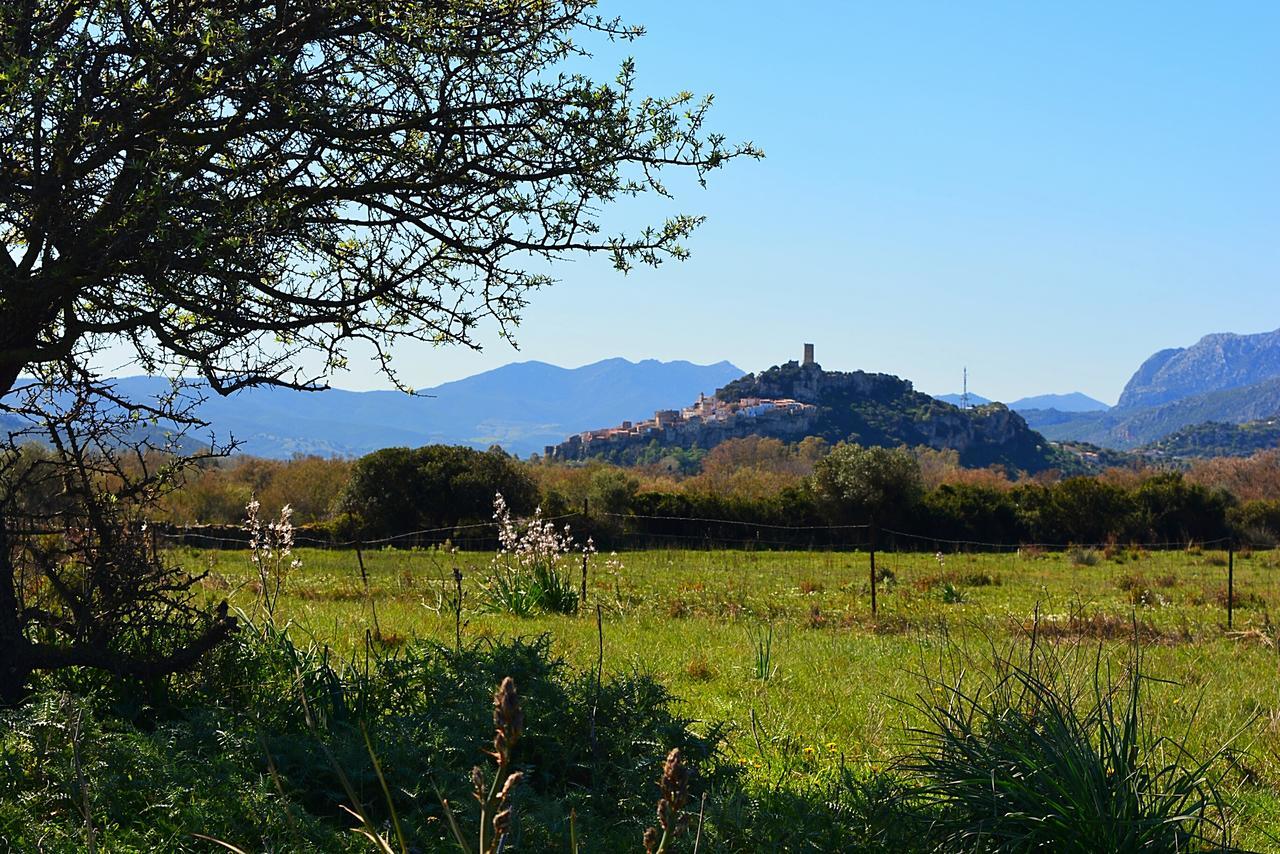 Agriturismo Orvile 포사타 외부 사진
